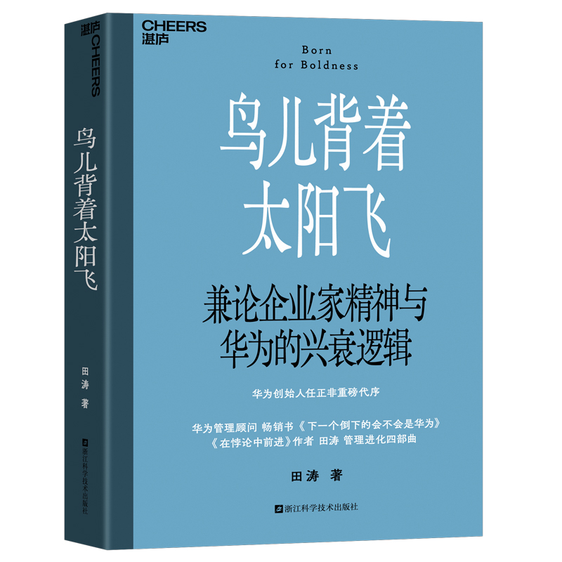 《鸟儿背着太阳飞》书封