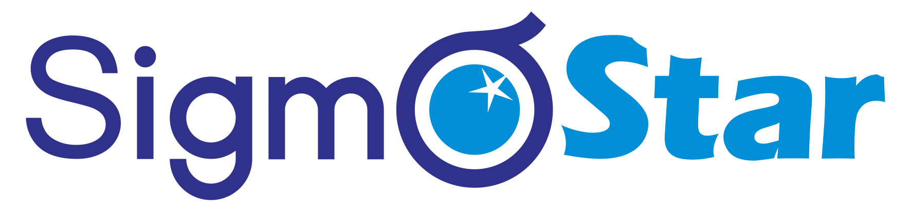 星宸科技 Logo